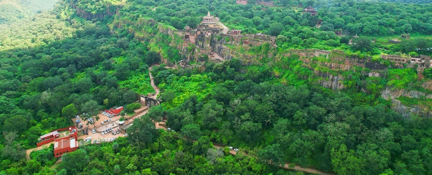 Ranthambore Fort walls overlooking the forest